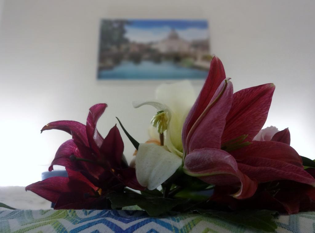 Romulea Guest House Exterior photo